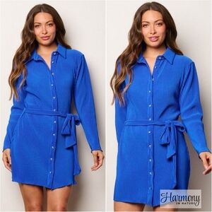 Blue Reign Bodycon Dress